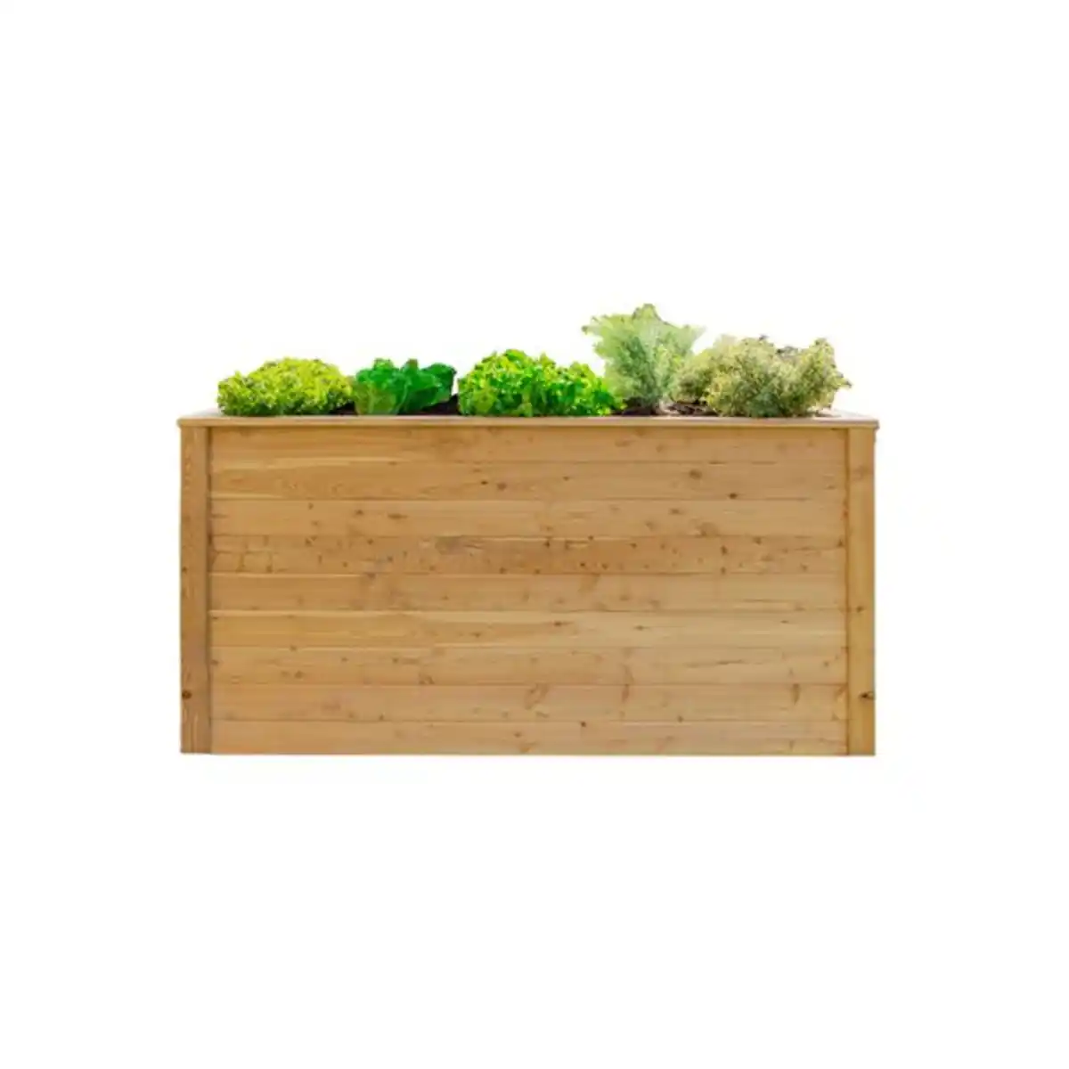 Bild 1 von Hochbeet Lärche L, 170 cm x 90 cm x 84 cm