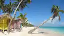 Bild 1 von Kreuzfahrten Karibik: Kreuzfahrt mit Norwegian Sky ab/an La Romana inkl. Badeaufenthalt in der Dominikanischen Republik