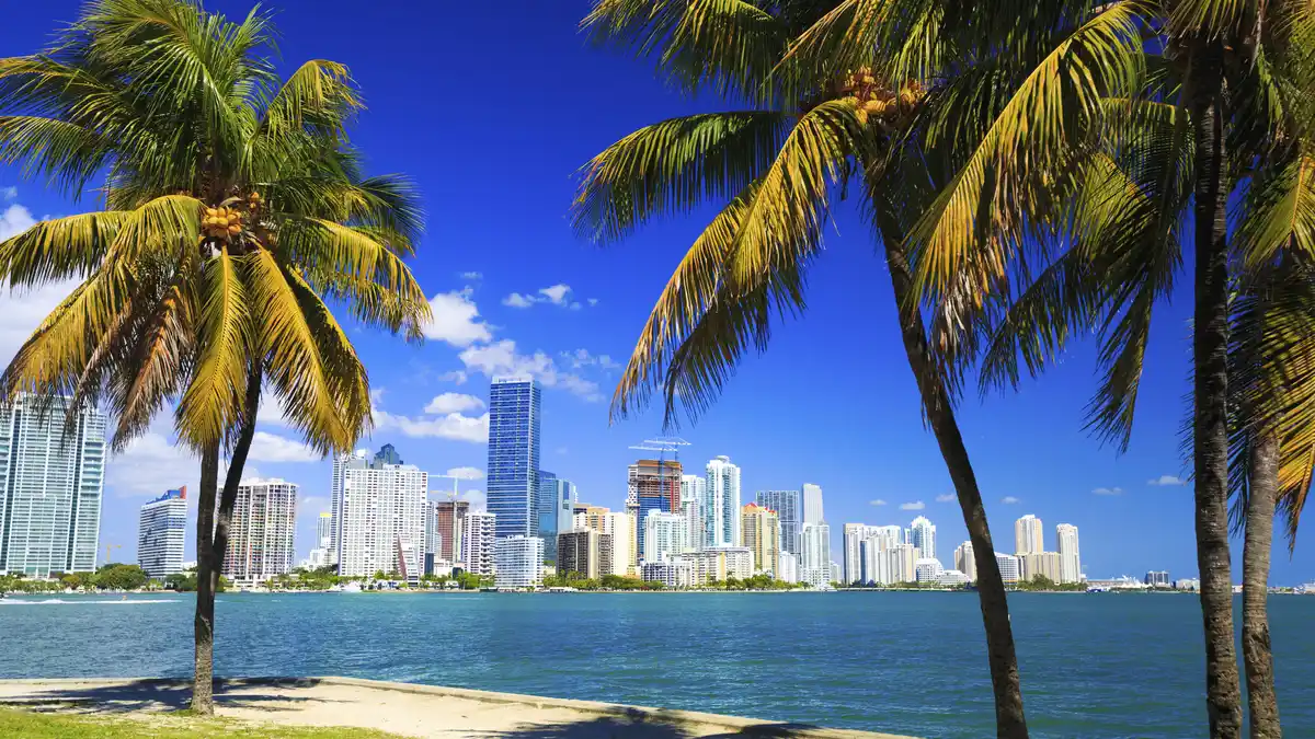 Bild 1 von Karibik & Miami - Kreuzfahrt - MSC Divina