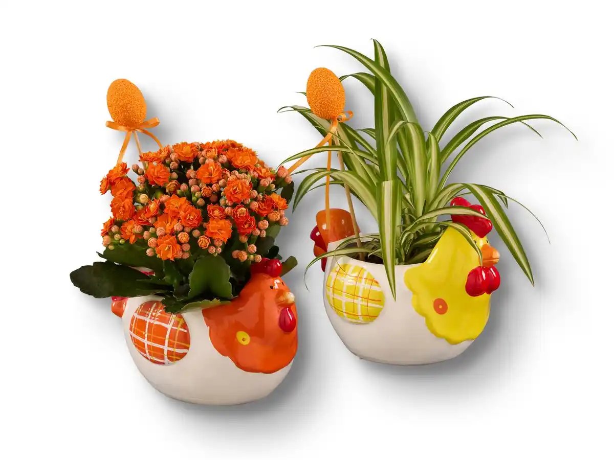 Bild 1 von Bepflanzte Keramik