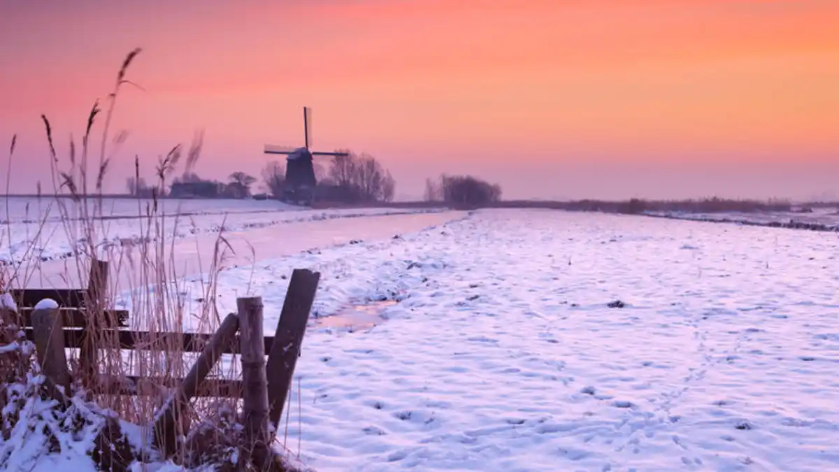 Bild 1 von Kreuzfahrten Rhein - Niederlande: Flusskreuzfahrt mit Lady Diletta ab/an Köln