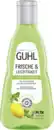 Bild 1 von Guhl Frische & Leichtigkeit Anti-Fett Shampoo, 250 ml