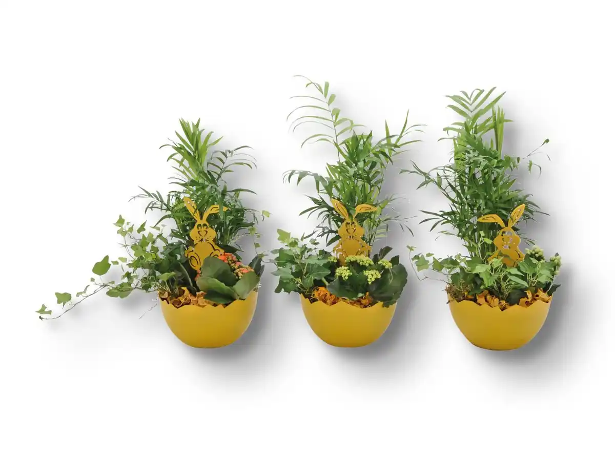 Bild 1 von Bepflanzte Eierschale