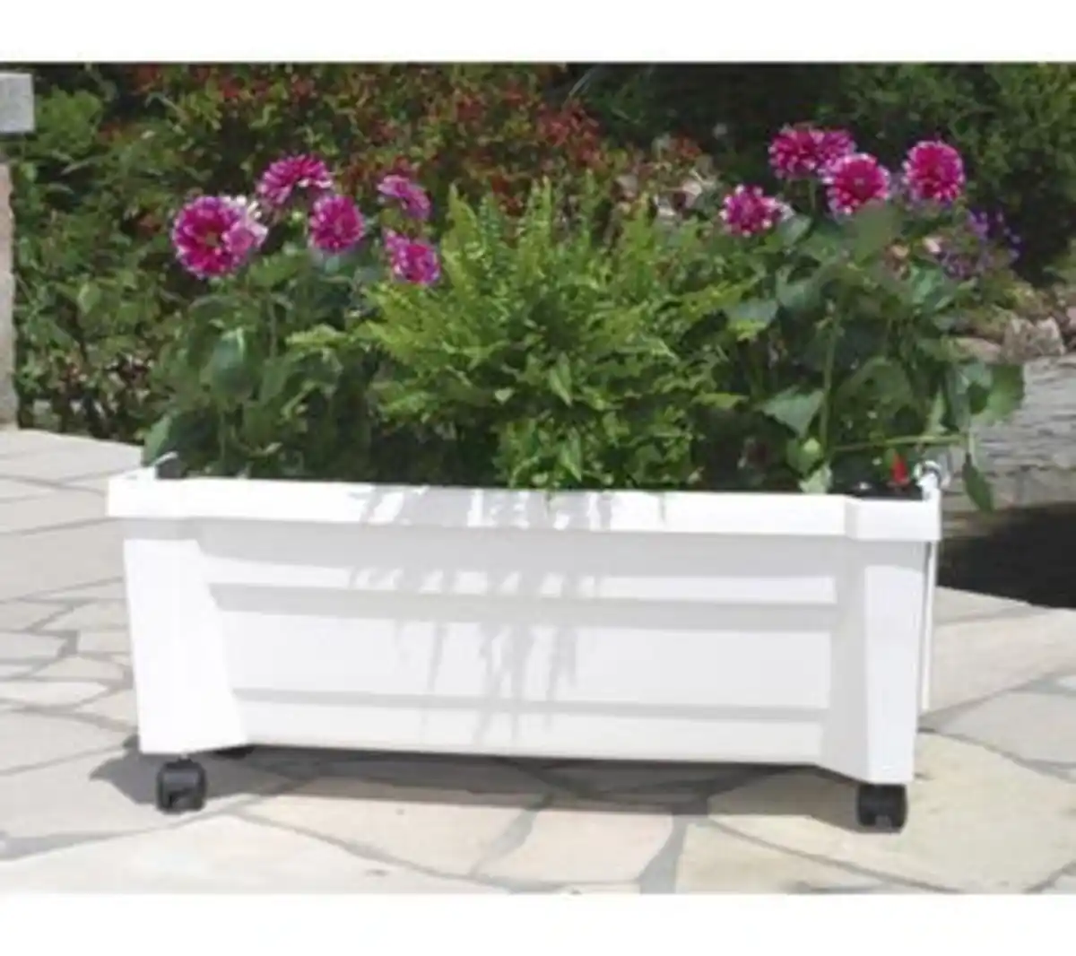 Bild 1 von KHW Kunststoff-Pflanzkasten Calypso inkl. Bewässerungssystem