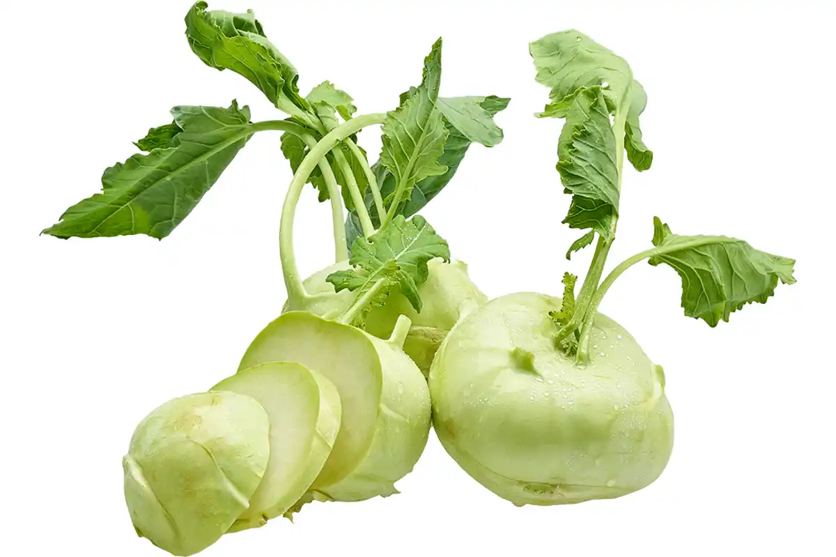 Bild 1 von Kohlrabi