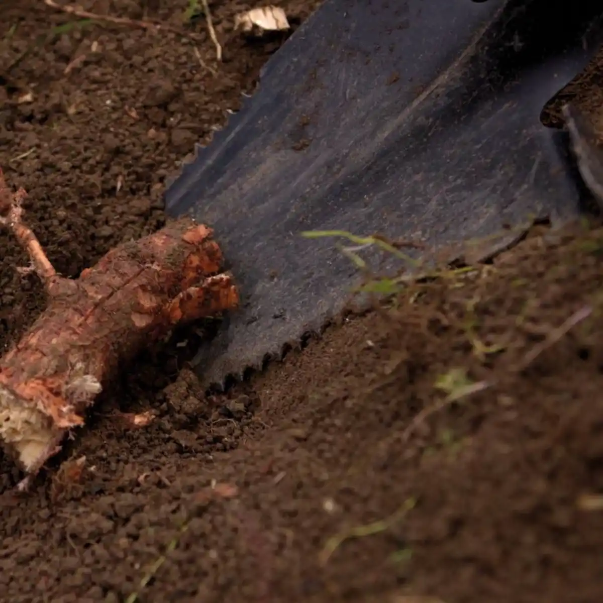 Bild 2 von HAMMERSMITH All-in-One-Spaten »Rayzer Shovel«