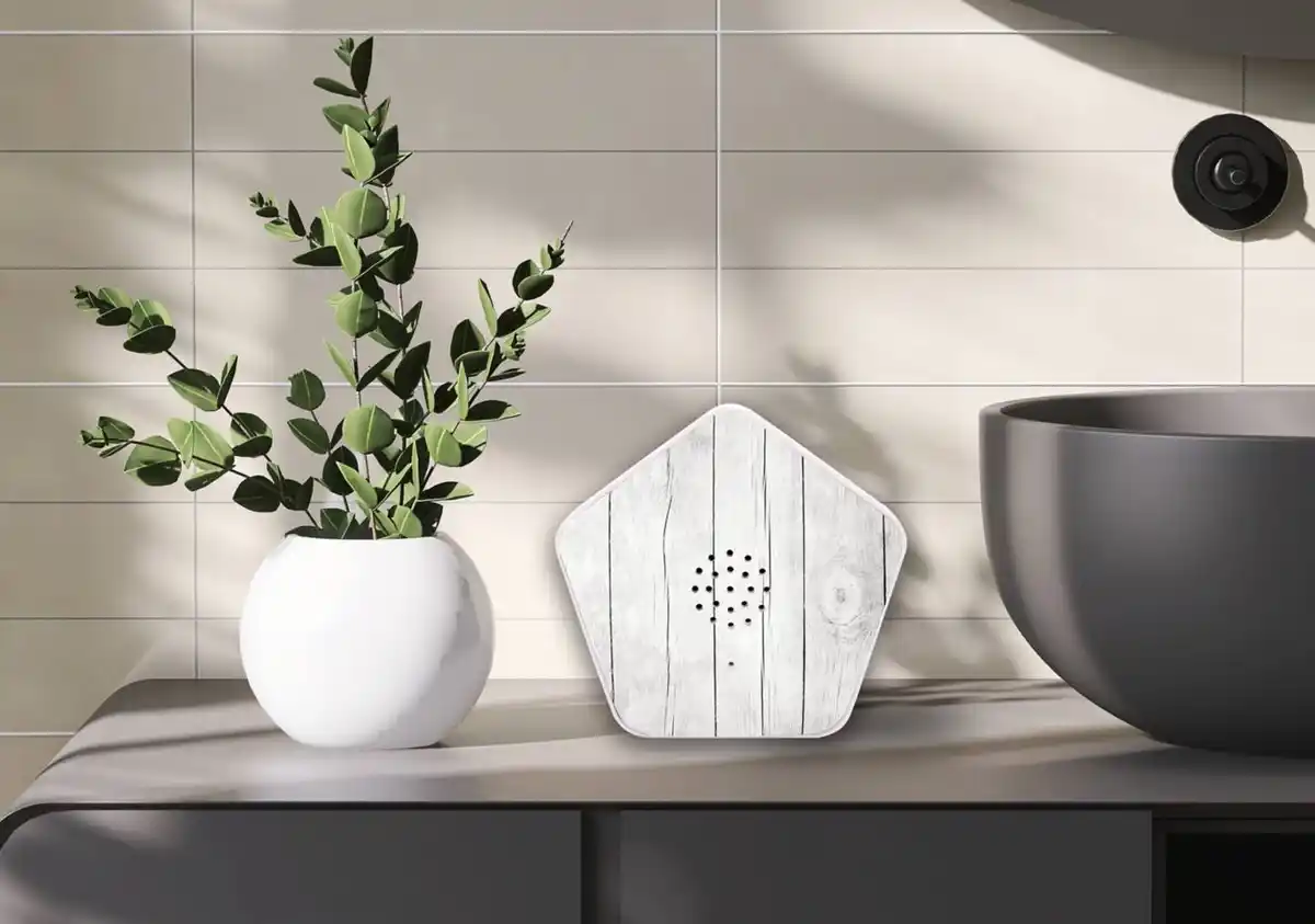 Bild 2 von OLYMP Sounds of Nature Box