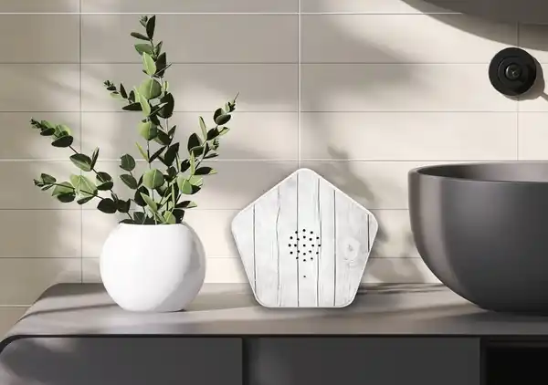 Bild 2 von OLYMP Sounds of Nature Box