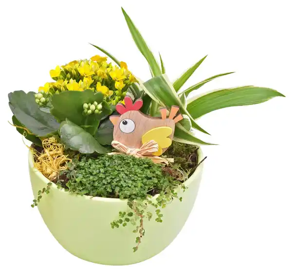 Bild 2 von Bepflanztes Ostergefäß mit Dekostecker