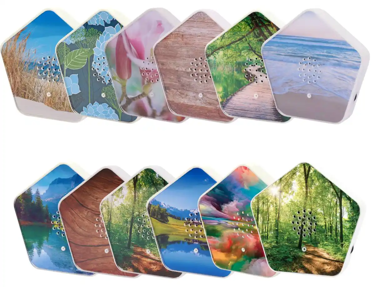 Bild 1 von OLYMP Sounds of Nature Box