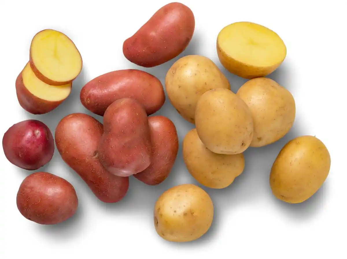 Bild 1 von Franz. Gourmet-Kartoffeln, 1,5-kg-Packg.