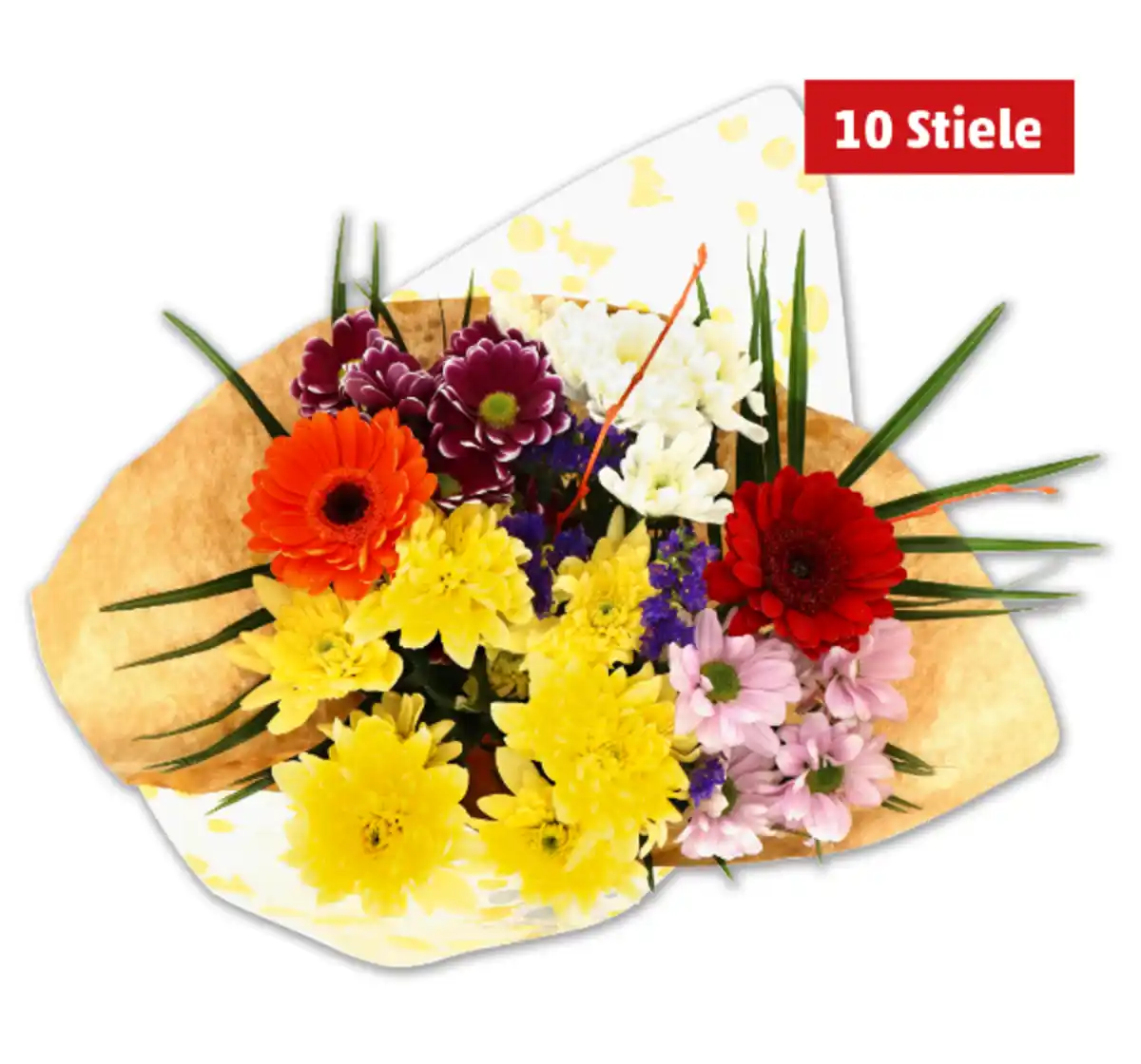 Bild 1 von Strauß  Wonderful*