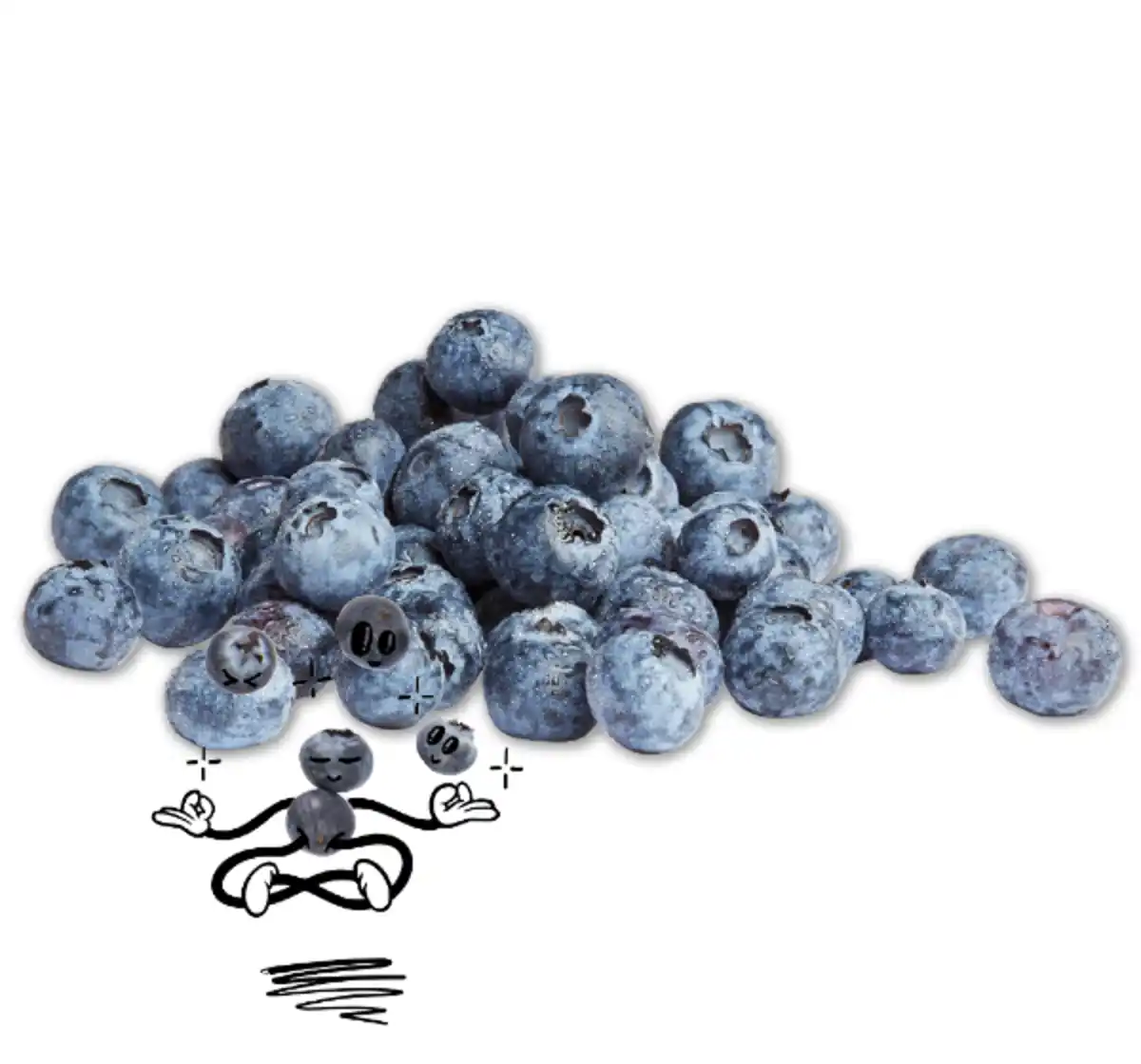 Bild 1 von NATURGUT Bio-Heidelbeeren