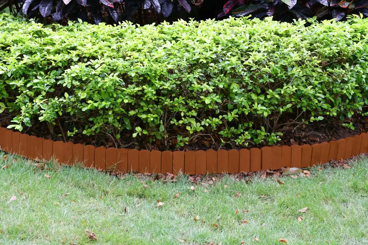 Bild 2 von Rollzaun aus Holz, ca. 203 x 10 / 20 x 1,7cm - Braun