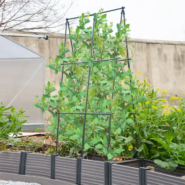 Bild 2 von Pflanzkasten mit Rankhilfe Eckig, ca. 84 x 42 x 180 cm - Grau/Schwarz