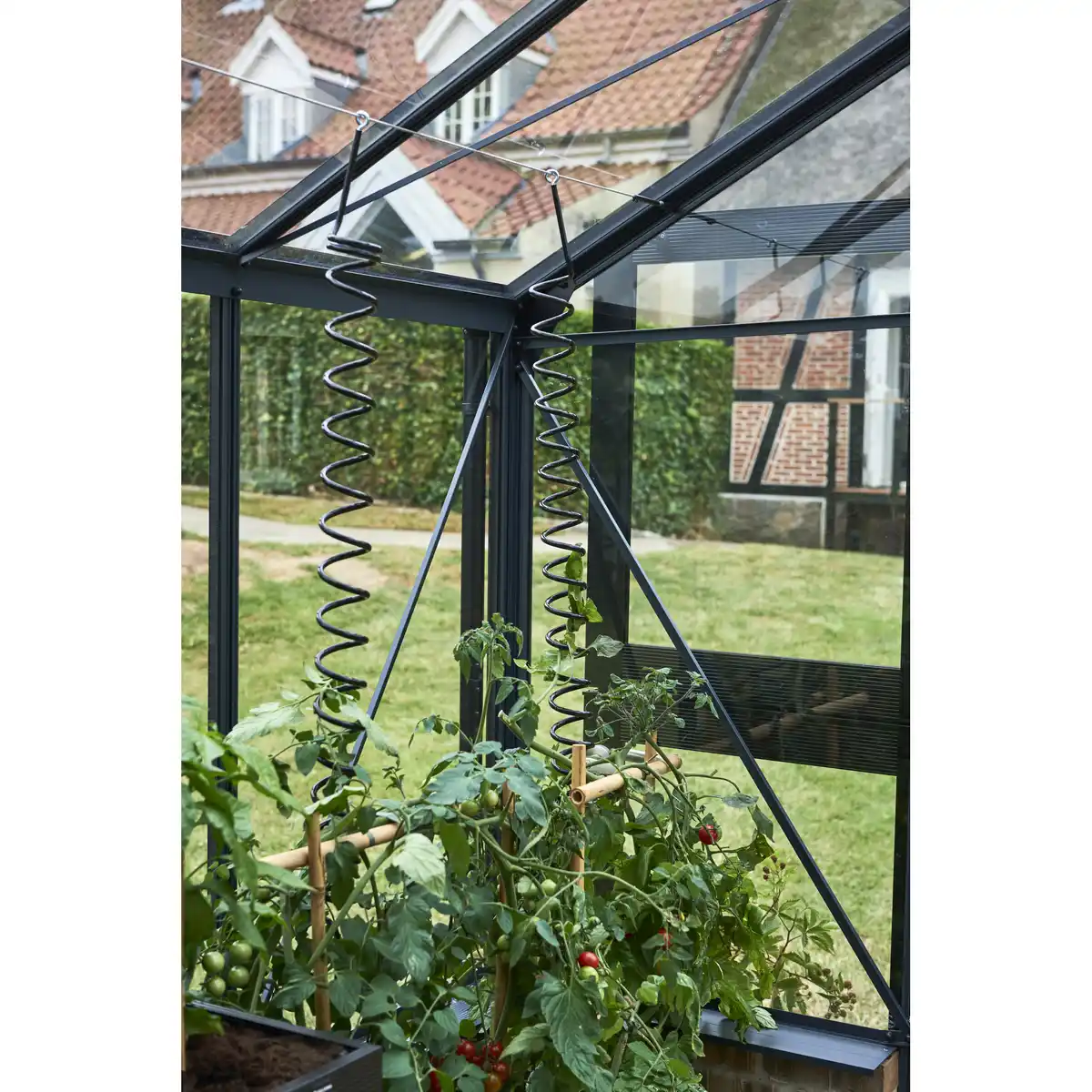 Bild 1 von Juliana Pflanzenspirale schwarz bis 2 m 3 Stück