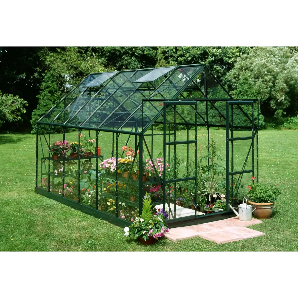 Bild 1 von Halls Gewächshaus 'Magnum 128' 257 x 384 cm mit 3 mm Blankglas grün
