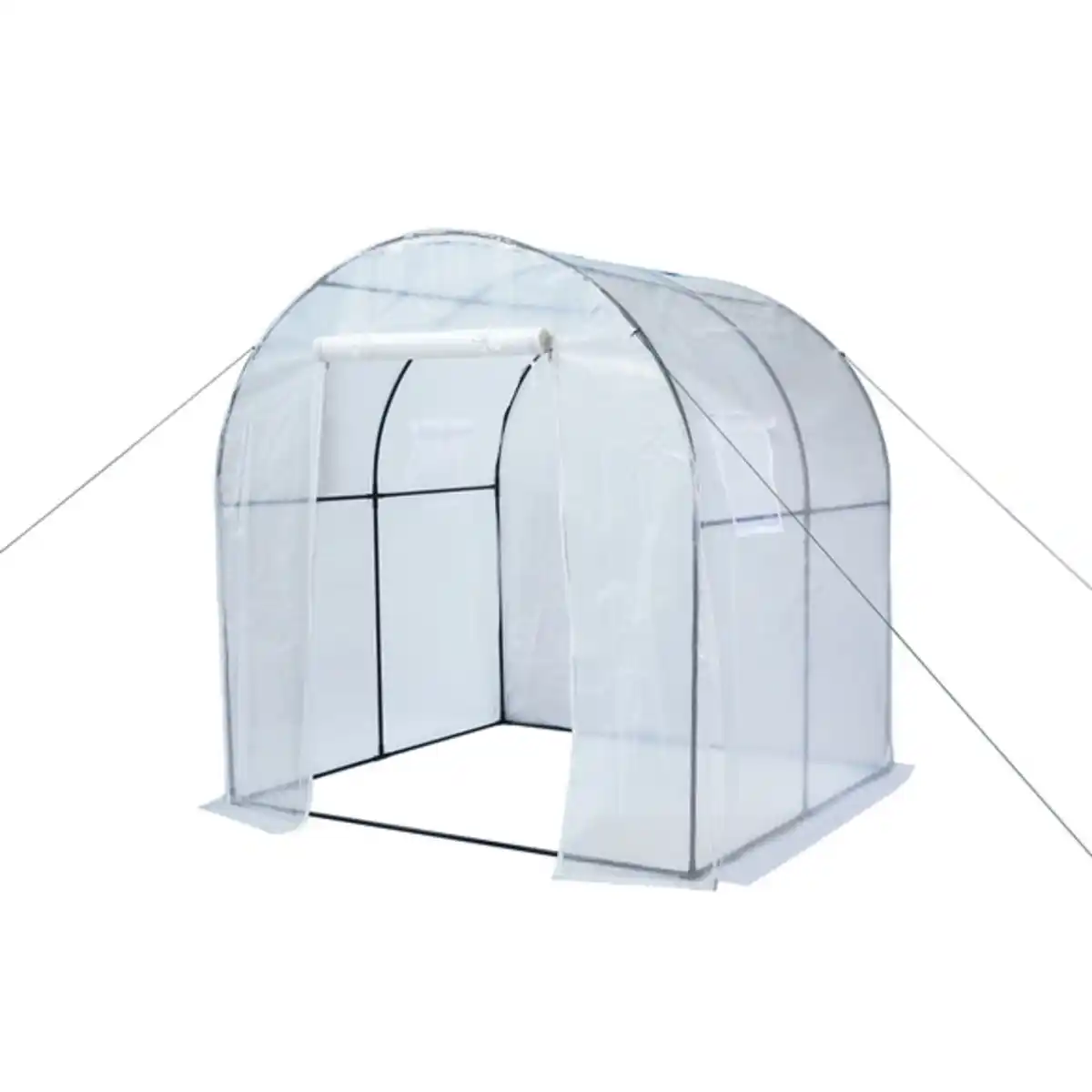 Bild 1 von Folien-Gewächshaus, BxHxT: 180 x 197 x 180 cm, Stahlrohr/Gitterfolie
