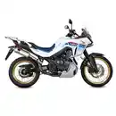 Bild 2 von MIVV Auspuff Dakar silber für Honda XL750 Transalp