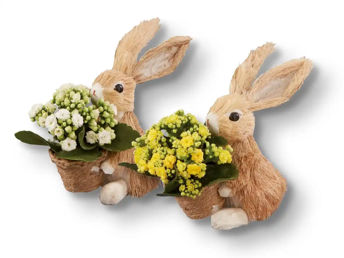 Bild 1 von Bepflanzter Osterhase