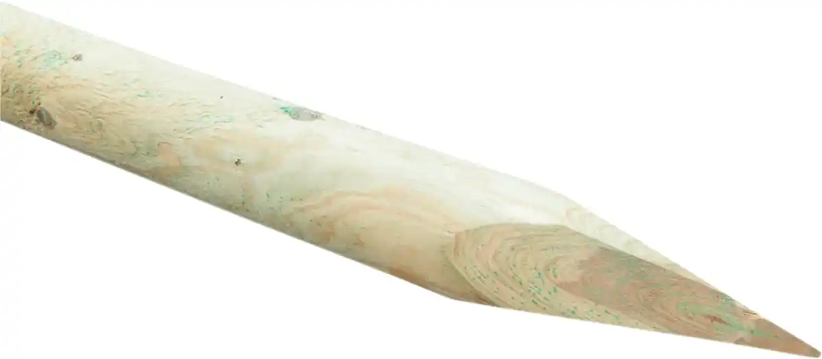 Bild 1 von Baumpfahl 150 cm, Ø 6 cm, kesseldruckimprägniert