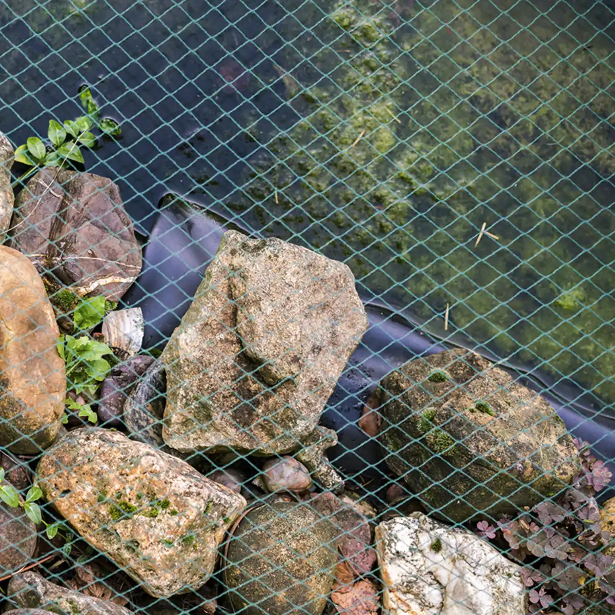 Bild 1 von Powertec Garden Teich- und Laubschutznetz