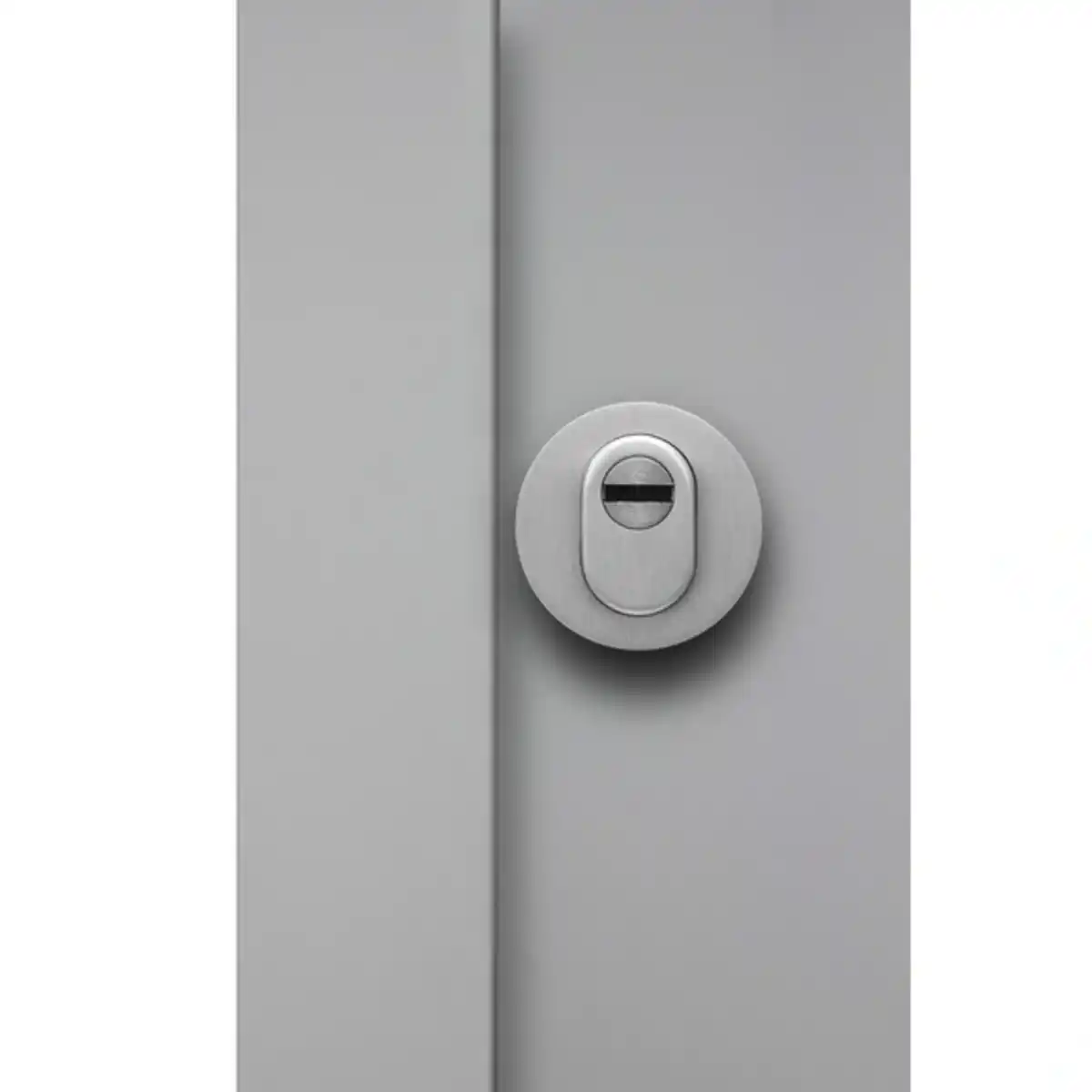 Bild 4 von Sicherheitshaustür »PULA Prime RC2«, Aluminium, in verkehrsgrau