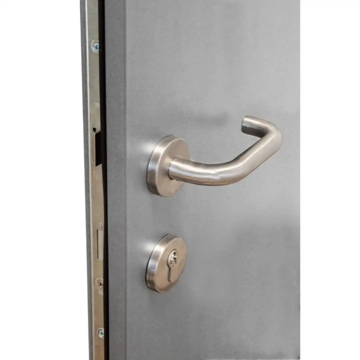 Bild 4 von Haustür »PULA Prime«, Aluminium, in verkehrsgrau