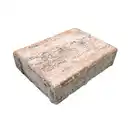 Bild 1 von Pflasterstein, Beton, Muschelkalk, LxBxS: 20 x 15 x 5 cm