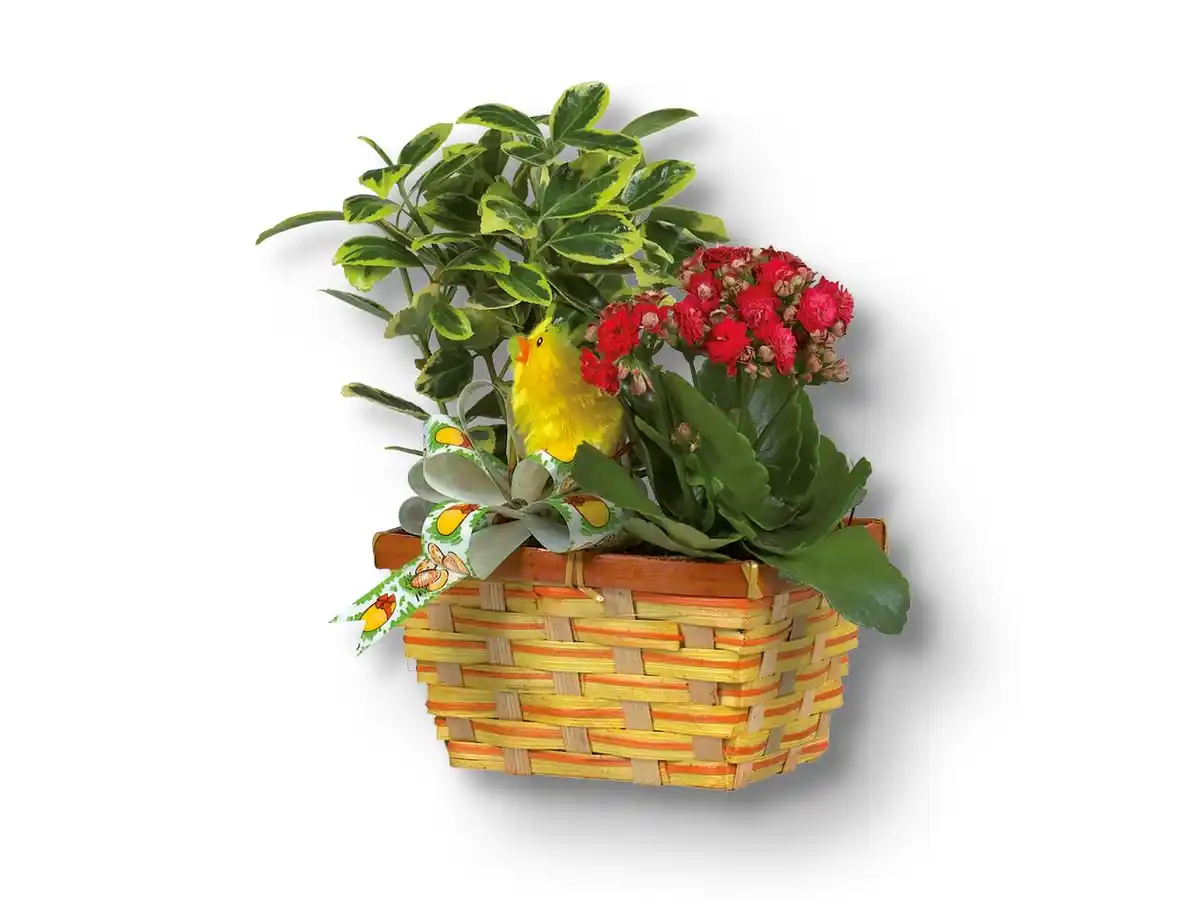 Bild 1 von Osterkorb