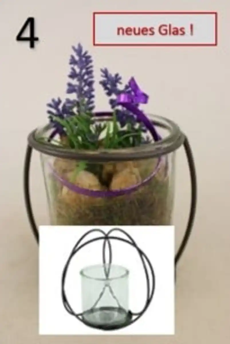 Bild 1 von Arrangement Indoor Glas Hyazinthe 17 cm