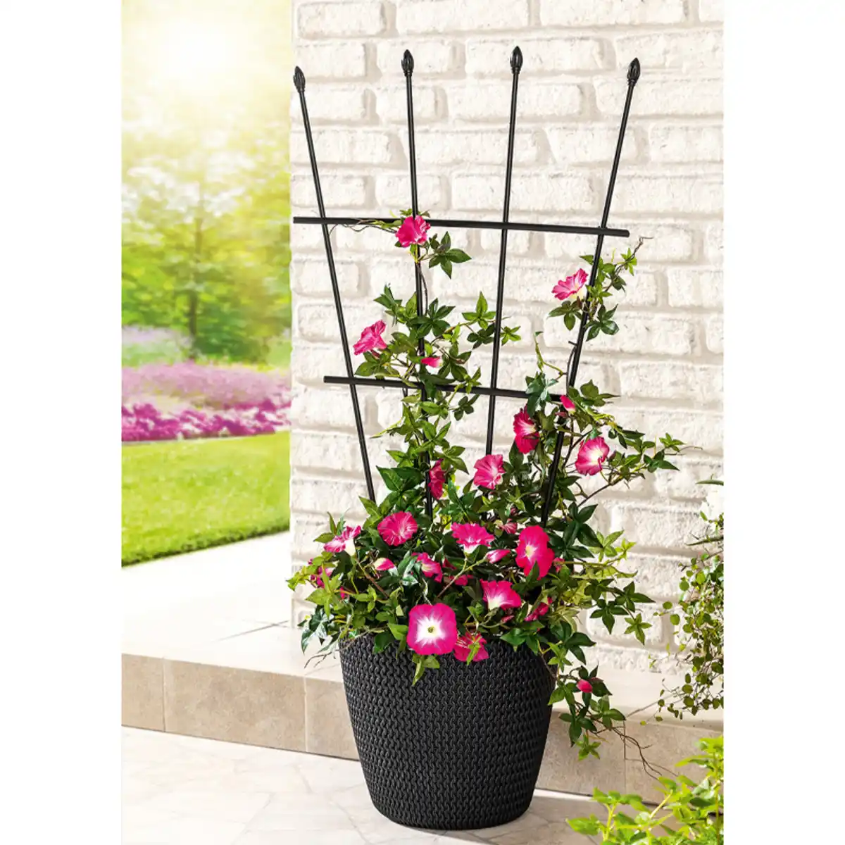 Bild 3 von Powertec Garden Pflanzen-Spalier