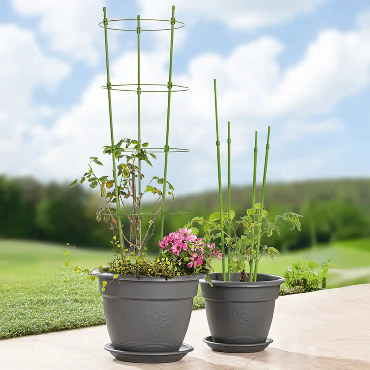 Bild 1 von Powertec Garden Pflanzenstützsysteme