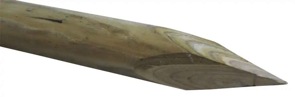 Bild 1 von Baumpfahl 200 cm, Ø 6 cm, kesseldruckimprägniert