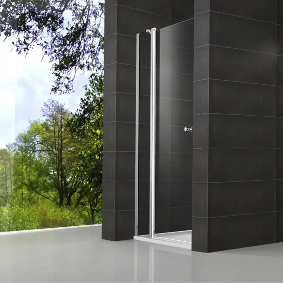 Bild 1 von Drehtür, BxH: 90 x 195 cm, Sicherheitsglas, silberfarben