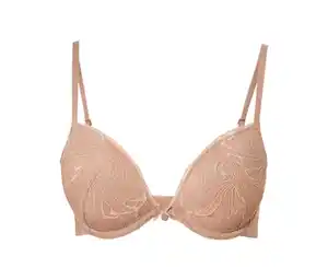 Push-up-BH
