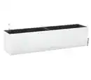 Bild 1 von LECHUZA® Kunststoff-Kasten Balconera Color, rechteckig