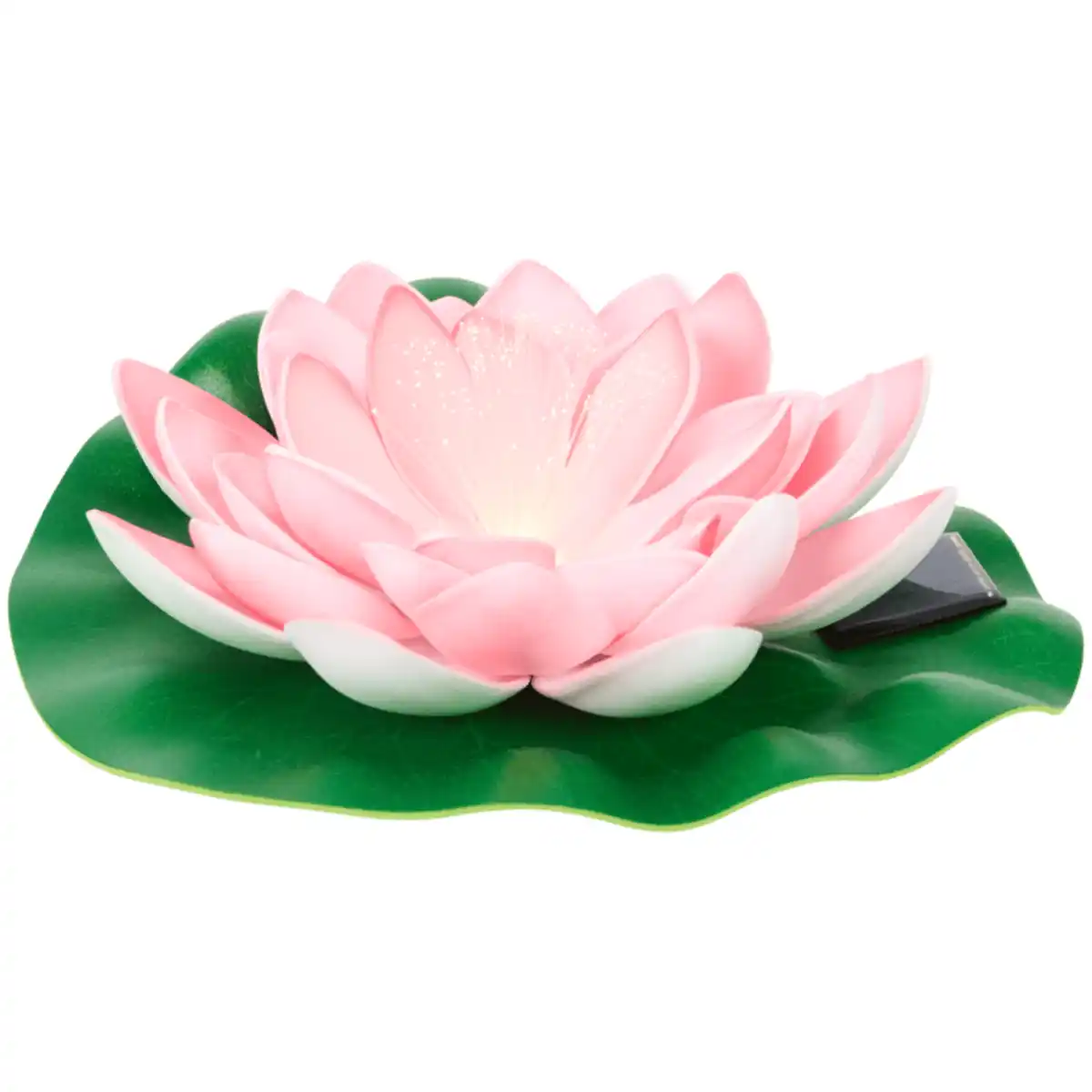 Bild 1 von Solar Seerose