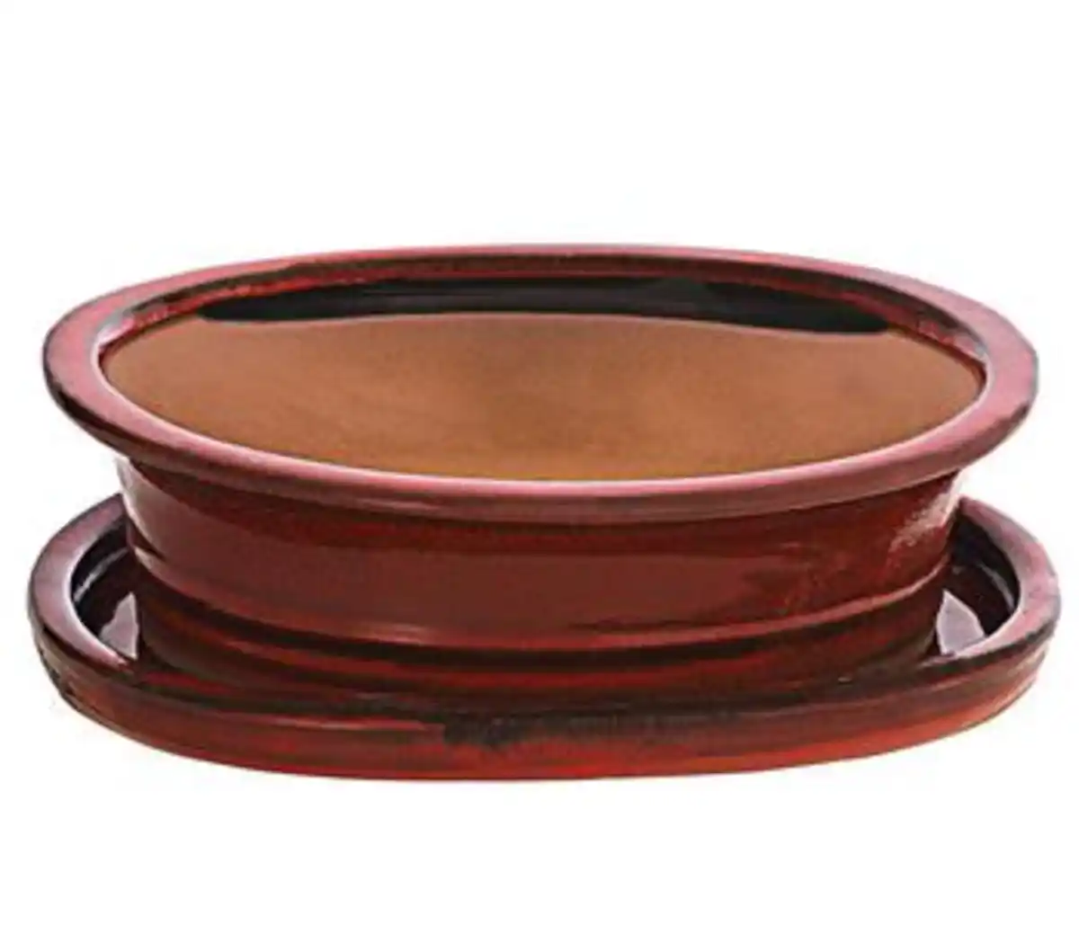 Bild 1 von Dehner Keramik-Bonsaischale, oval, rot
