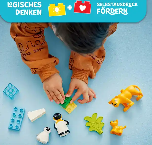 Bild 3 von LEGO duplo 10442 Wildtier-Familien: Pinguine und Löwen