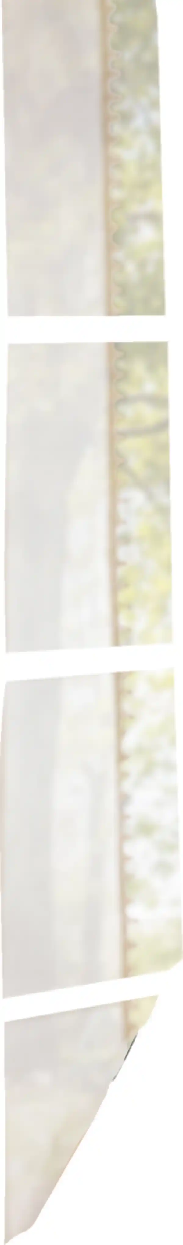 Bild 2 von IDEENWELT Kniegelenk-Bandage Gr. S/M