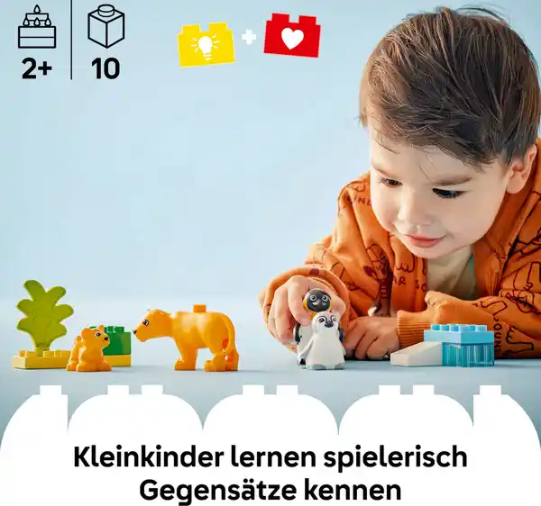 Bild 4 von LEGO duplo 10442 Wildtier-Familien: Pinguine und Löwen