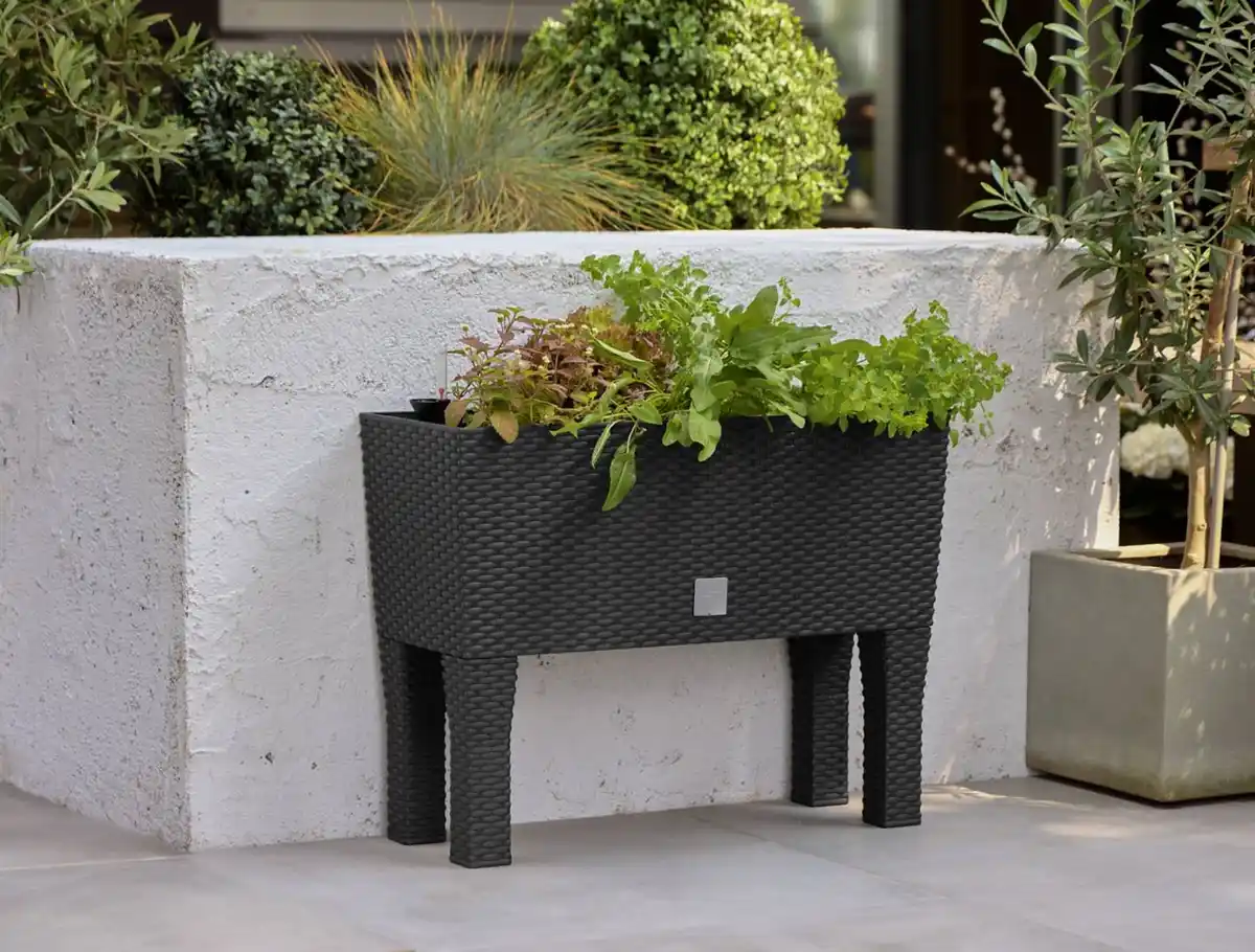 Bild 2 von PARKSIDE® 2-in-1-Hochbeet