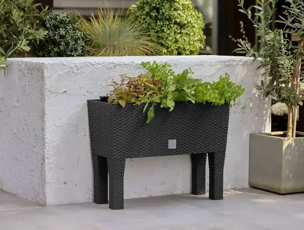 Bild 2 von PARKSIDE® 2-in-1-Hochbeet