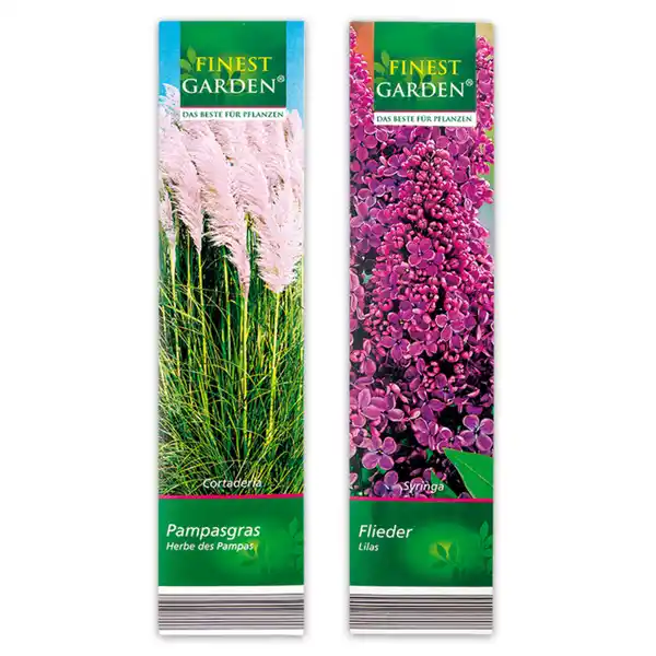 Bild 2 von Finest Garden Kübelpflanzen Besonderheit
