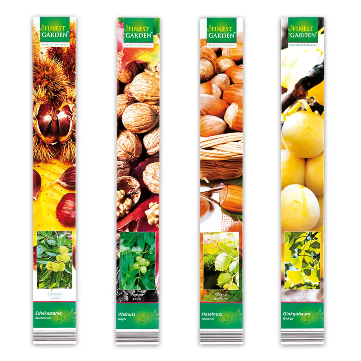 Bild 1 von Finest Garden Vogelbäumchen / Sommergehölz