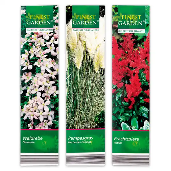 Bild 3 von Finest Garden Kübelpflanzen Besonderheit