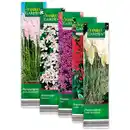 Bild 1 von Finest Garden Kübelpflanzen Besonderheit