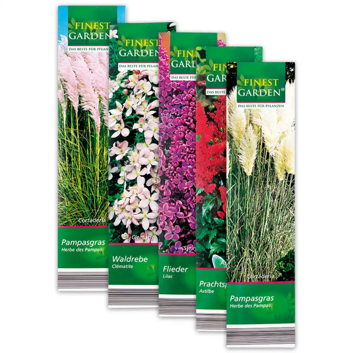 Bild 1 von Finest Garden Kübelpflanzen Besonderheit