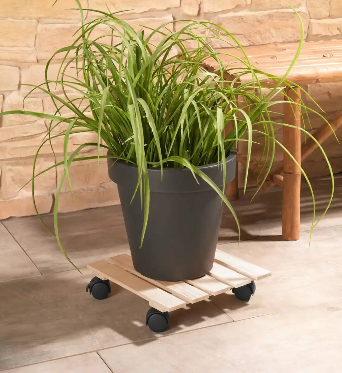 Bild 2 von PARKSIDE® Pflanzenroller